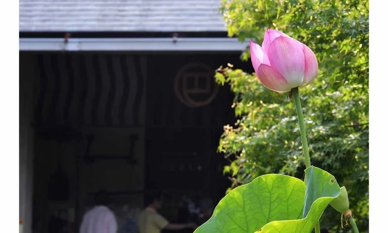  津市永代供養墓霊園 四天王寺