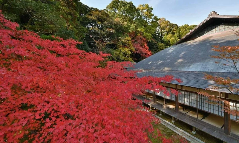 津市永代供養墓霊園 四天王寺 