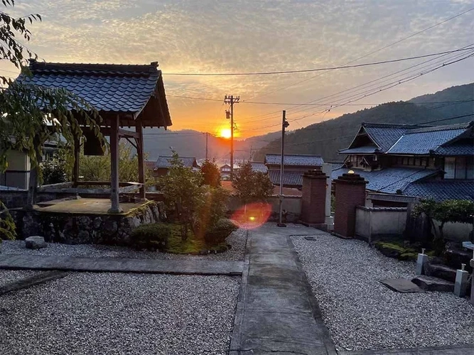 さばえ明厳寺 里山型樹木葬 木漏れ日 