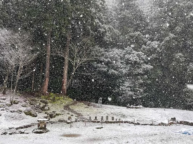 さばえ明厳寺 里山型樹木葬 木漏れ日 