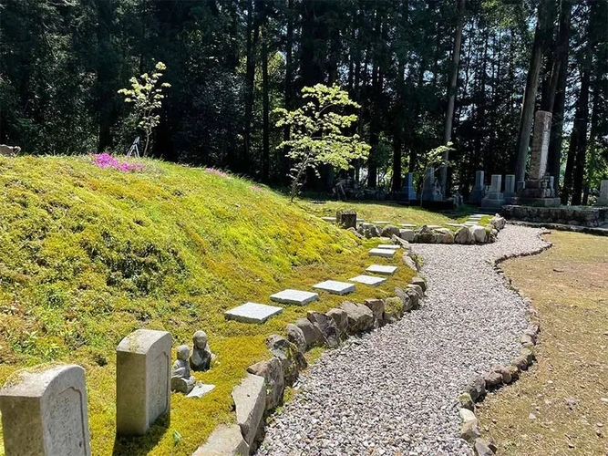 さばえ明厳寺 里山型樹木葬 木漏れ日 