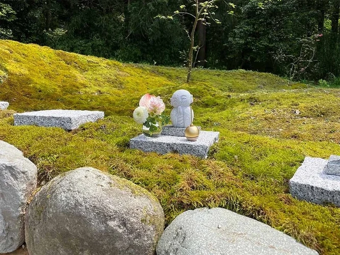 さばえ明厳寺 里山型樹木葬 木漏れ日 