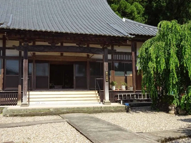 さばえ明厳寺 里山型樹木葬 木漏れ日 