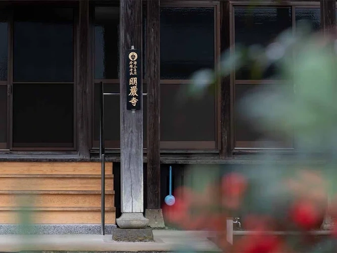 さばえ明厳寺 里山型樹木葬 木漏れ日 