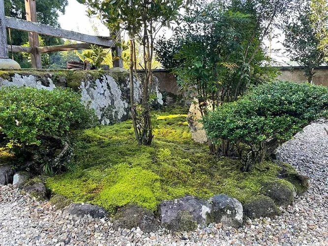 さばえ明厳寺 里山型樹木葬 木漏れ日 