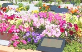 甲府市 ガーデニング型樹木葬霊園「八ヶ岳フラワージュ」