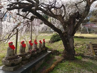 上田市にある寺院墓地