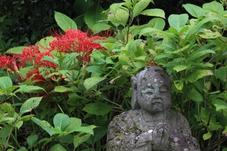 国宝三重塔 大法寺 永代供養墓・樹木葬 