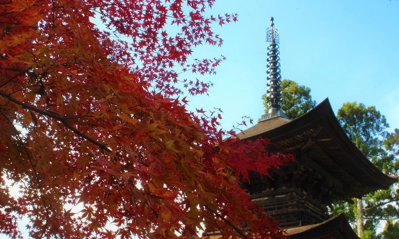 国宝三重塔 大法寺 永代供養墓・樹木葬 