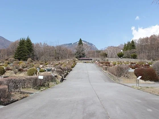 北佐久郡御代田町 小諸市高峯聖地公園