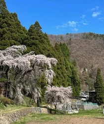 宗教不問の民営霊園