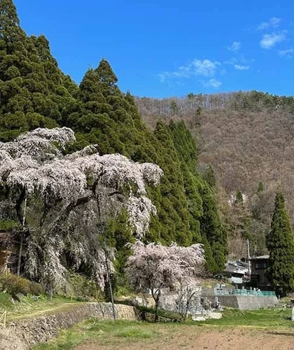 須坂市 大日方霊園