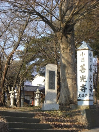 大雄寺墓苑（小諸善光寺） 