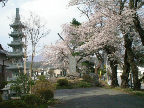 大雄寺墓苑（小諸善光寺） 