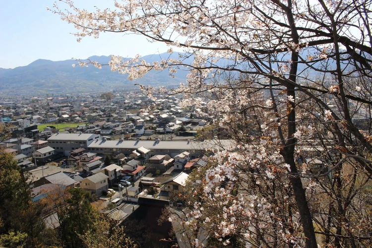 有明霊園 