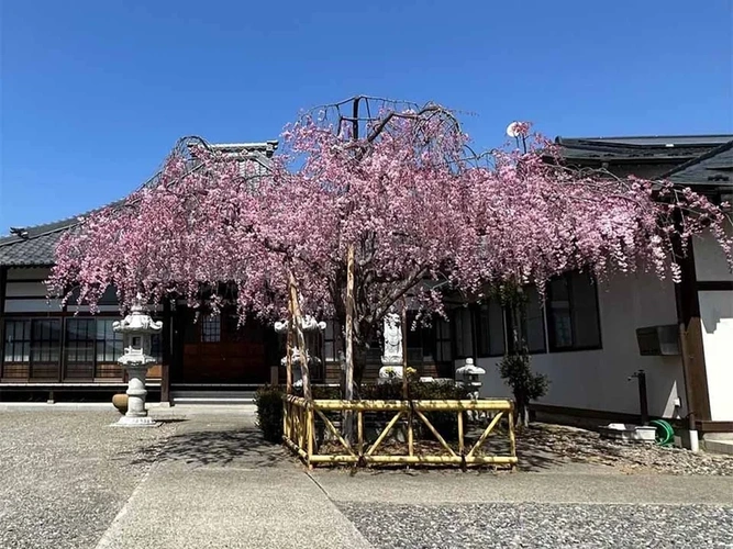 長野市 常然寺