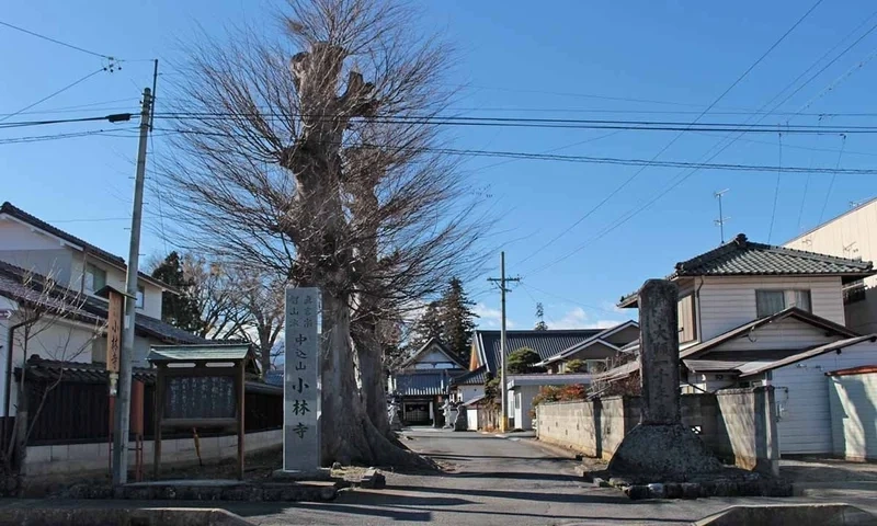 小林寺霊園 