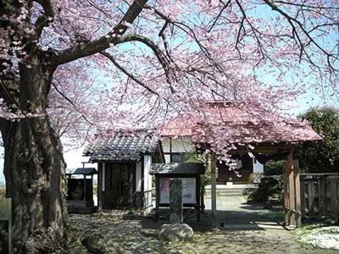 廣正寺（広正寺） 