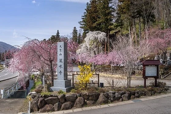 さなださくら樹木葬霊園 