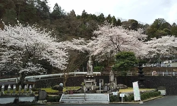 お墓の跡継ぎ不要