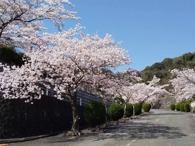 圓満寺霊苑（円満寺霊苑） 