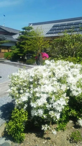 正覺寺 本堂内納骨 