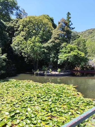 岐阜県全ての市 真正寺霊苑