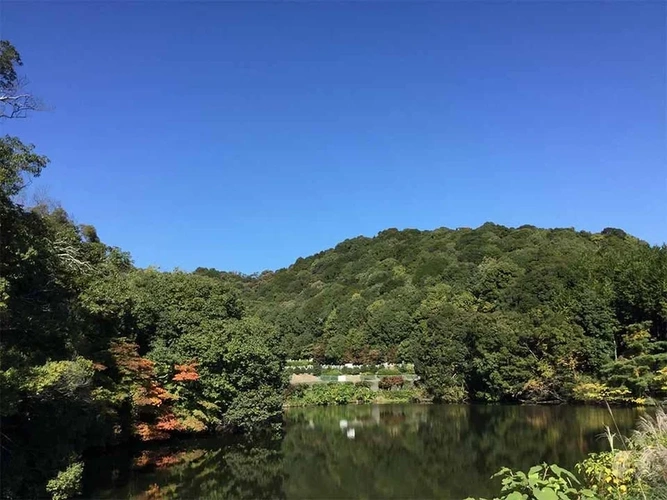 岐阜県全ての市 真正寺霊苑