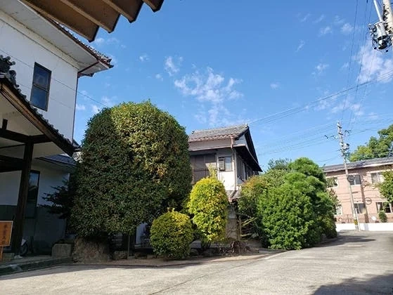 大垣市 本覚寺 のうこつぼ