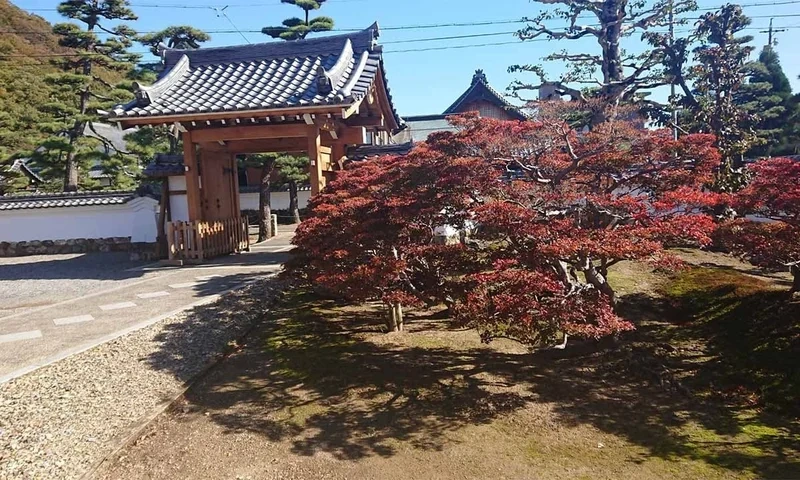 金寶山天澤院 