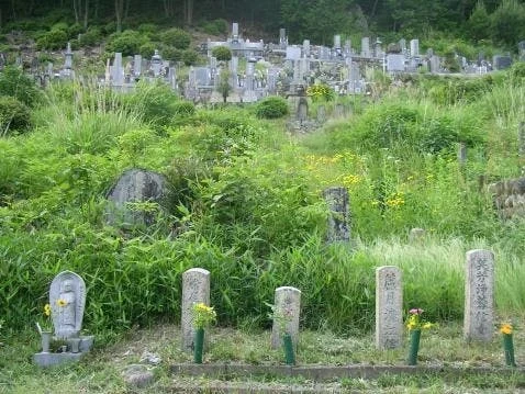 洞泉寺霊園 