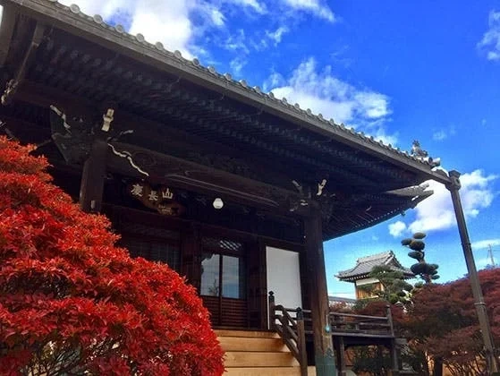 羽島郡岐南町 安浄寺 永代供養墓