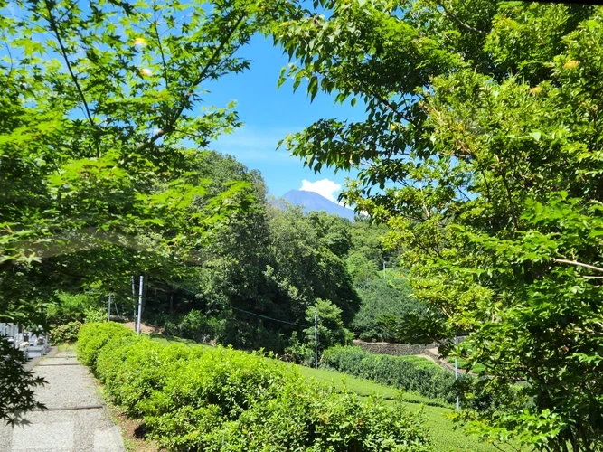 納骨堂てらす 飛鳥寺 てらすから見える夏の富士山