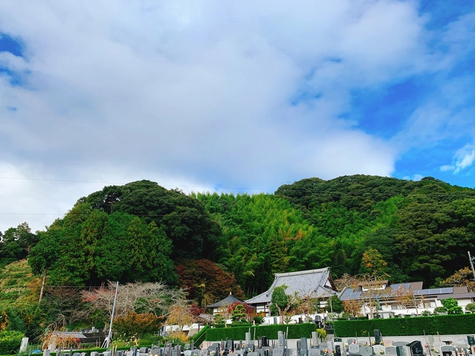 葉梨の里霊園 