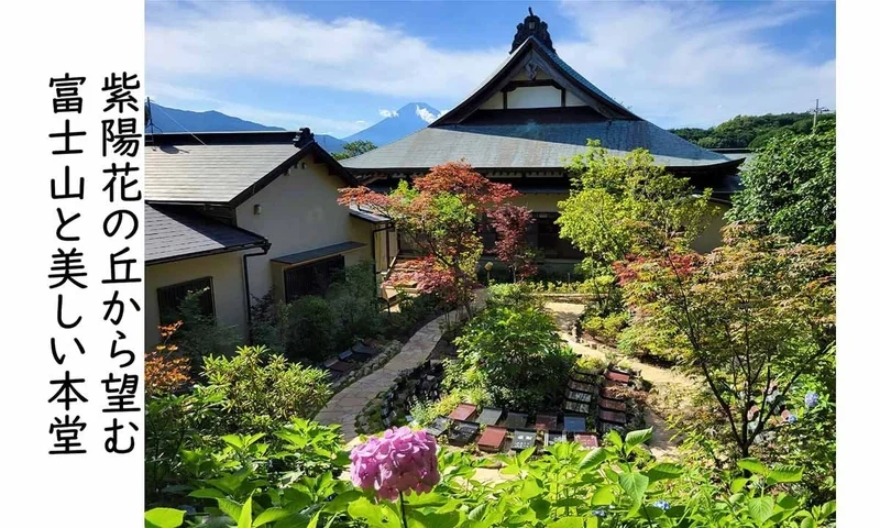 裾野の森・光明寺樹木葬 