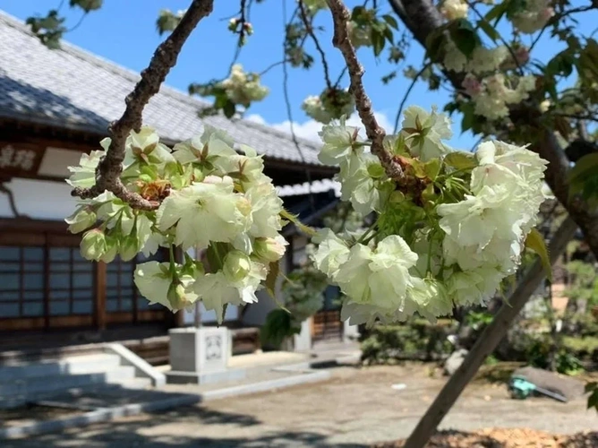 樹木葬 永久の郷 