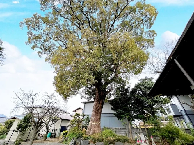 樹木葬 永久の郷 