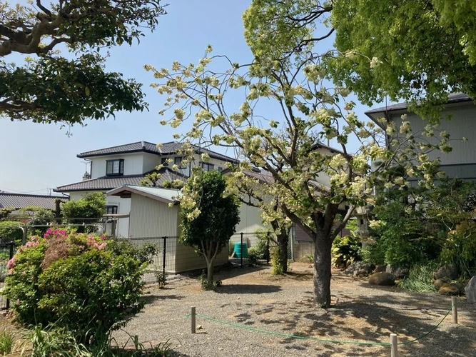 樹木葬 永久の郷 