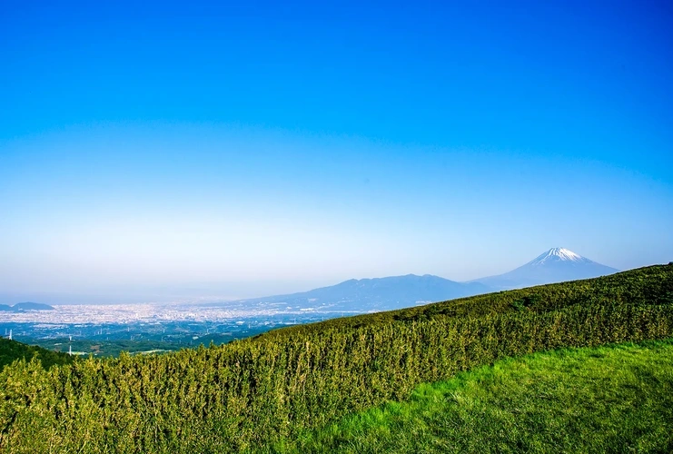 熱海日金山霊園 