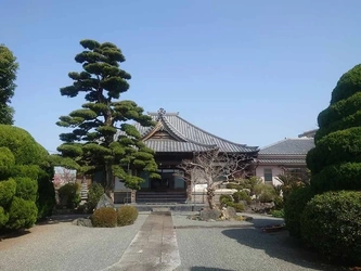 臨済宗の寺院墓地