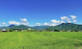 自然豊かな富士市の安息の聖地