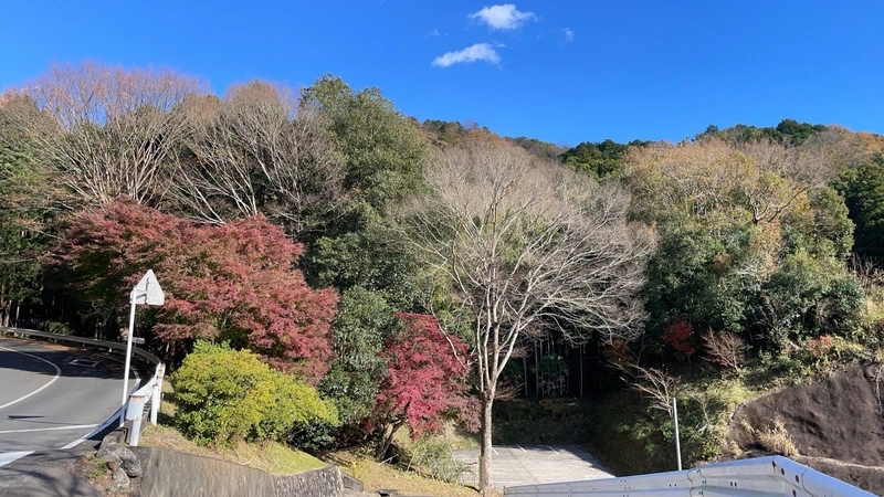 法住寺 