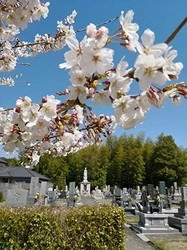 「菊川」駅から車で7分