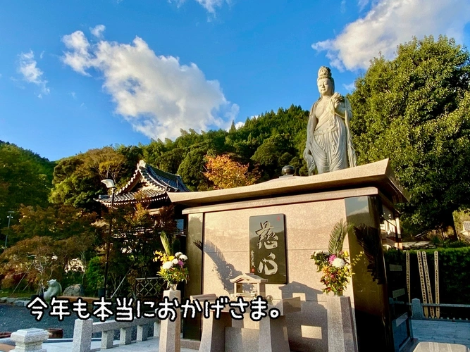 龍津寺 永代供養墓 