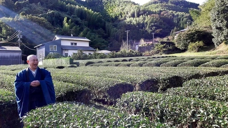 龍津寺 永代供養墓 