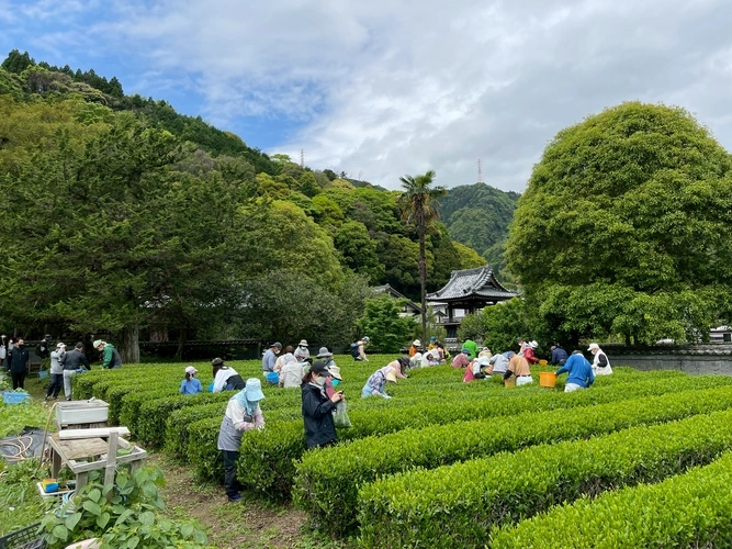 龍津寺 永代供養墓 