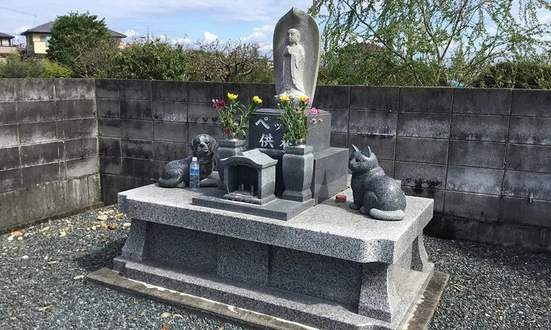 曹洞宗 龍祥山 養福寺 