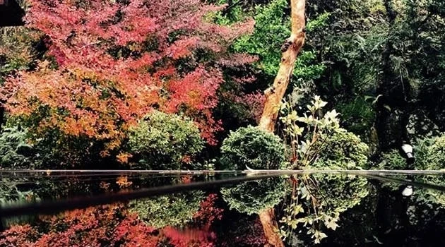 正蓮寺 はすのさと 