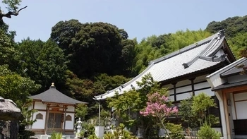 明るく開放的な寺院墓地