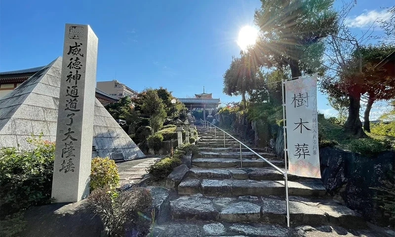 大雄院 樹木葬「さくら」 